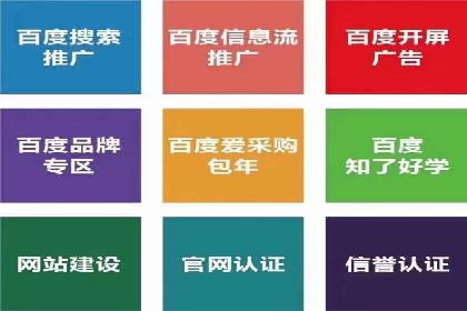 案例分析：信息流广告投放转化率提升策略